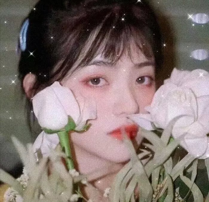 矛矛的假期